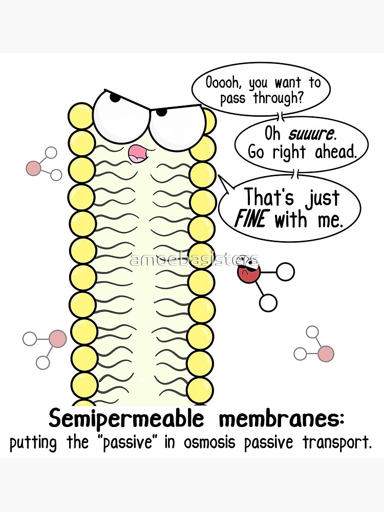 Thumbnail 3 of 3, Poster, Passive Aggressive Cell Membrane designed and sold by amoebasisters.