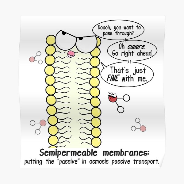 Passive Aggressive Cell Membrane Poster
