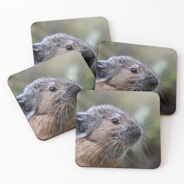 Item preview, American Pika designed and sold by nwbirdscapes.