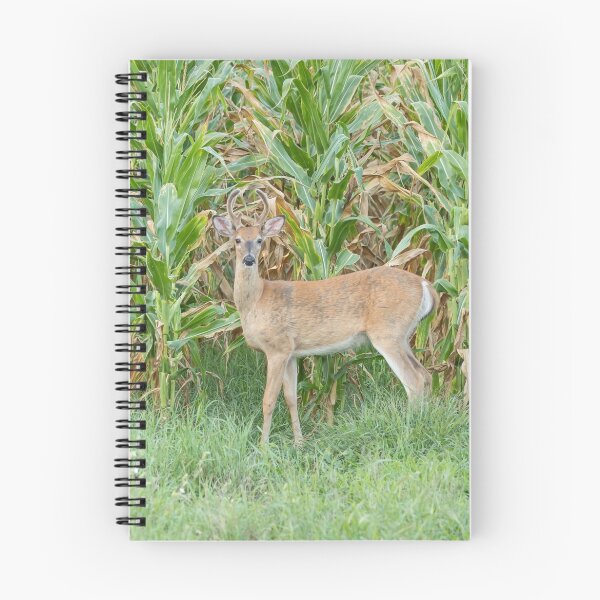 Item preview, Young Buck In Velvet 1-2015 designed and sold by Thomasyoung.