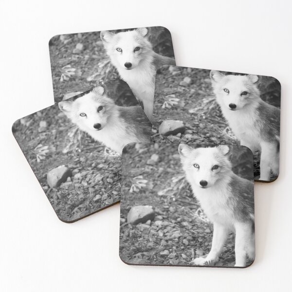 Item preview, B&W Arctic Fox designed and sold by alyssasimages.