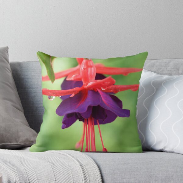 Item preview, Fuchsia  FuchsiaBerry designed and sold by Chris Burrows.