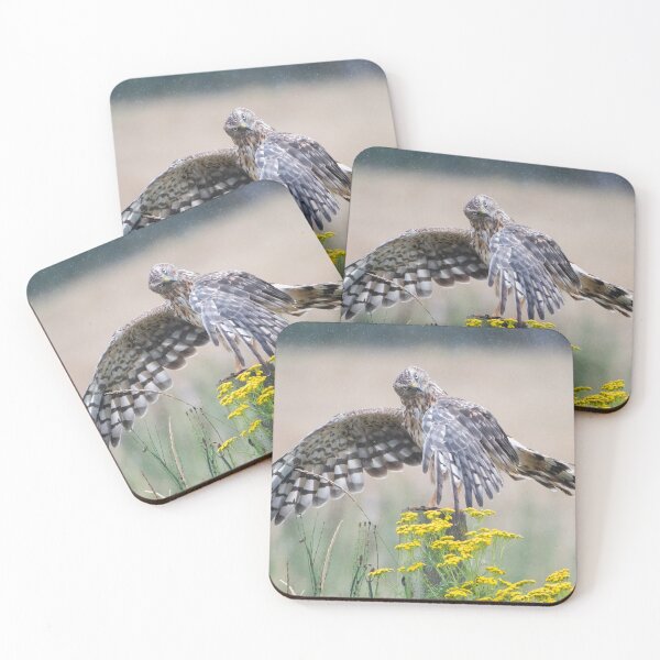 Item preview, What are you looking at? designed and sold by nwbirdscapes.