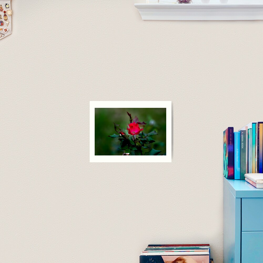 In Memory of the Loving Rose Art Print