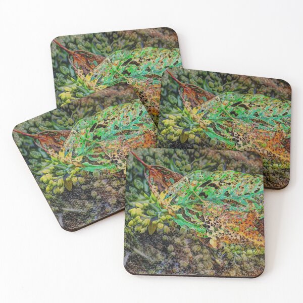 Item preview, "Nature Reinventing Itself" designed and sold by wiscbackroadz.