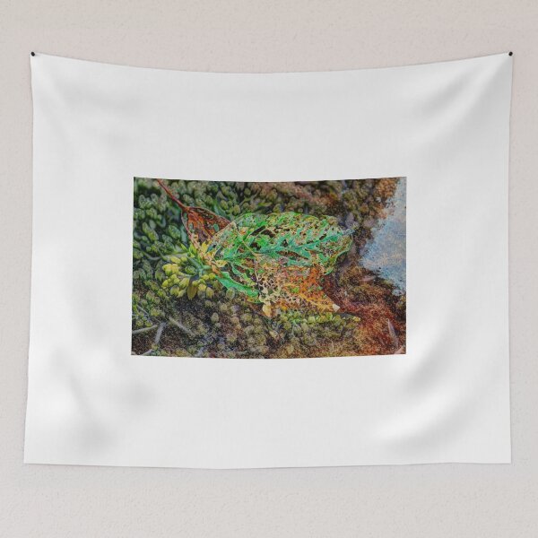Item preview, "Nature Reinventing Itself" designed and sold by wiscbackroadz.