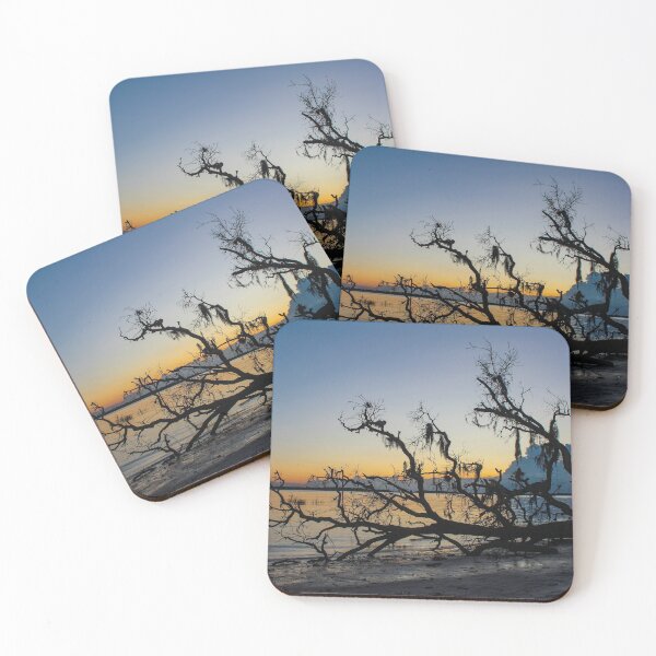 Item preview, Driftwood Beach designed and sold by Bob Hardy.