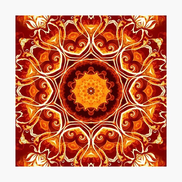 Orange Lotus Photographic Print