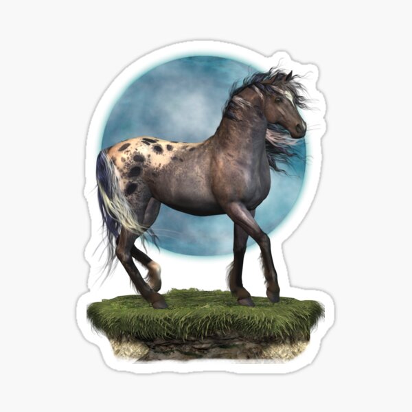 Storm .. an appaloosa stallion Sticker