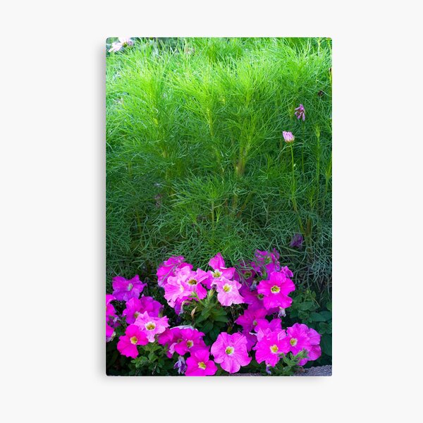 Distance Yourself Canvas Print