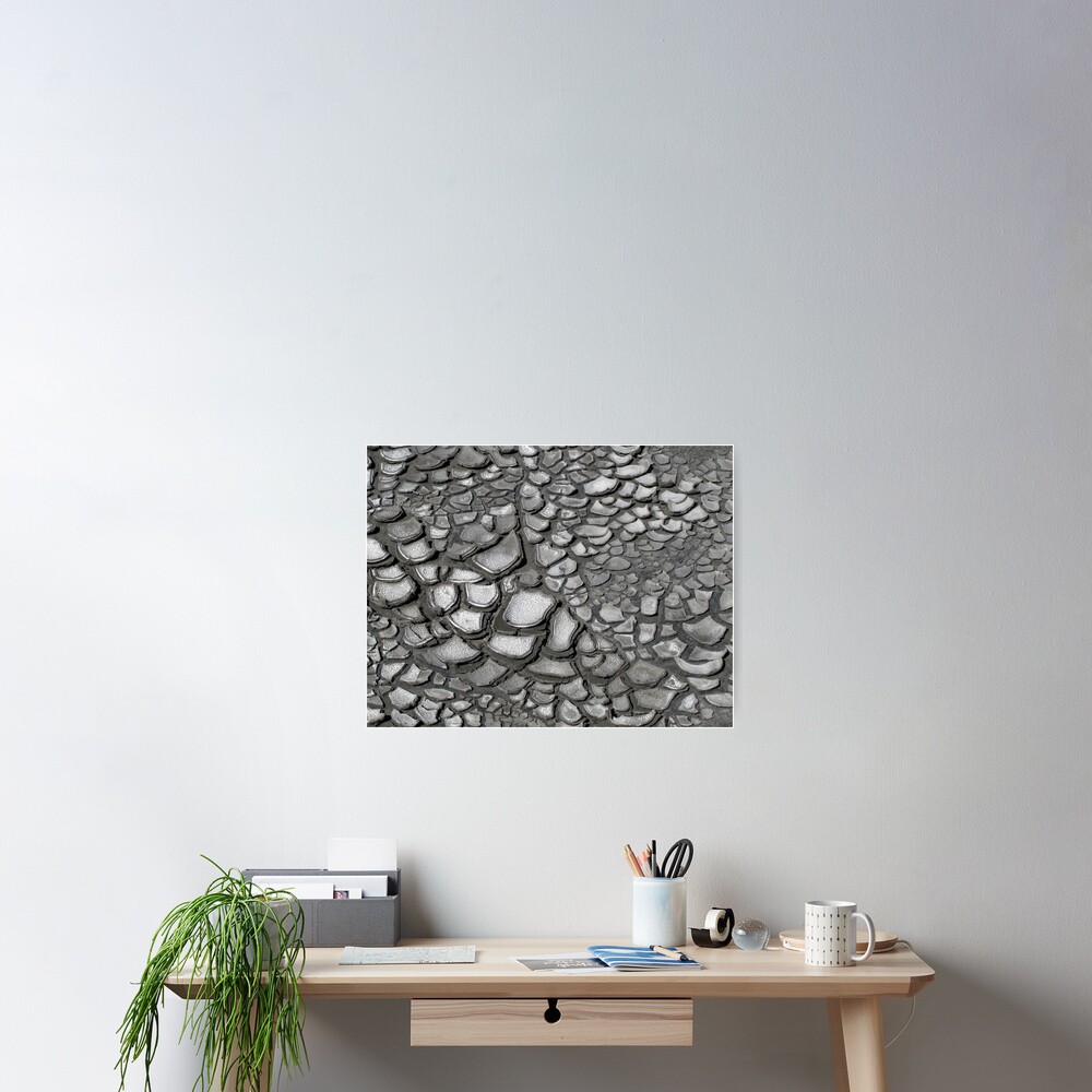 Crack patterns Poster