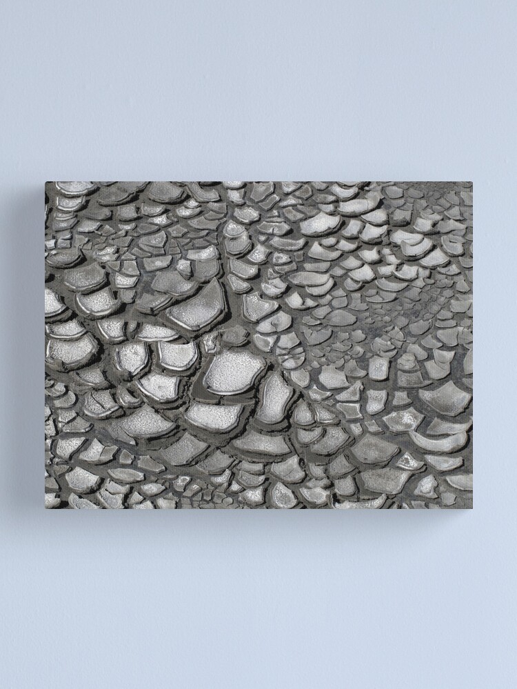 Alternate view of Crack patterns Canvas Print