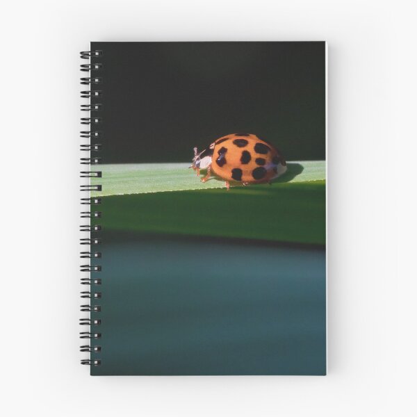 Item preview, Into the Unknown - Macro of Ladybug designed and sold by dlamb.