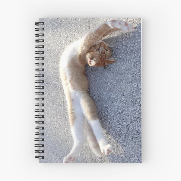 Item preview, Kitten Yoga by Orikall designed and sold by HippieWorks.