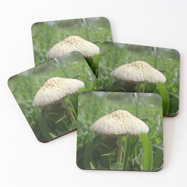 Item preview, Not Mush-Room Inside - Fungi, by Orikall designed and sold by HippieWorks.
