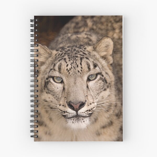 Item preview, Snow Leopard portrait designed and sold by buttonpresser.