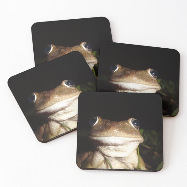 Item preview, Happy Frog - Macro by Orikall designed and sold by HippieWorks.