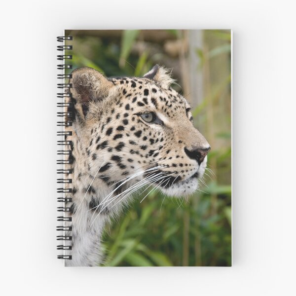 Item preview, Persian leopard portrait designed and sold by buttonpresser.