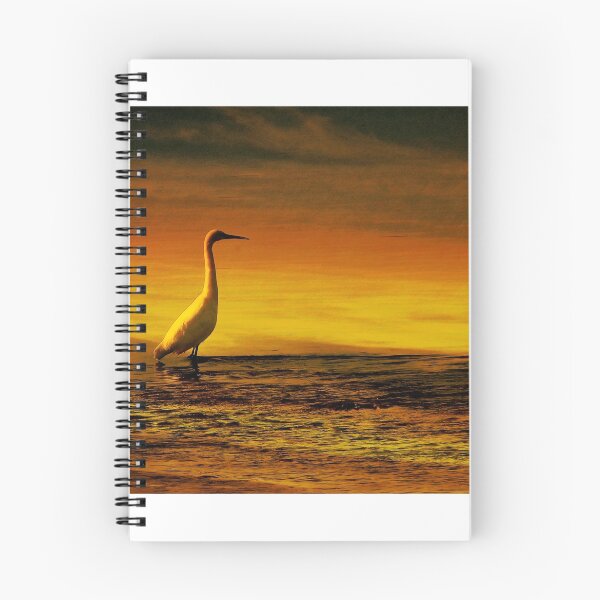 Item preview, Egret on Chesil Beach, Portland, Dorset, UK designed and sold by buttonpresser.