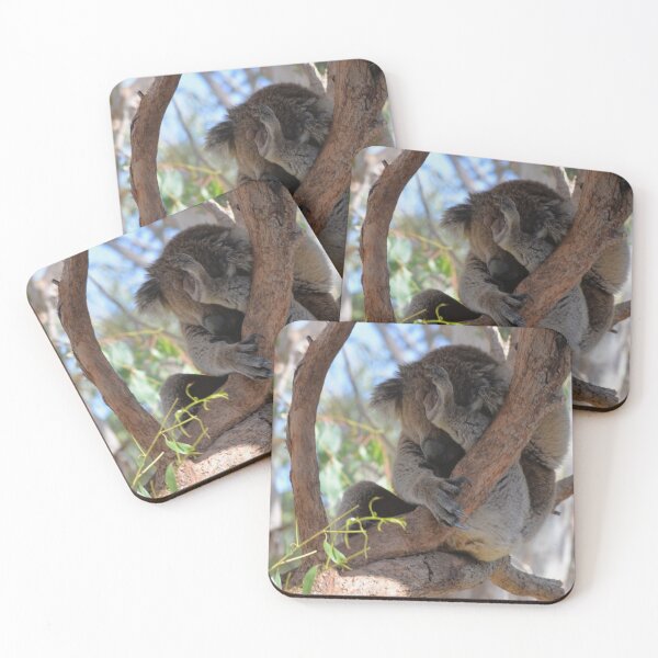 Item preview, yogi koala nap designed and sold by Mister Mipsy.