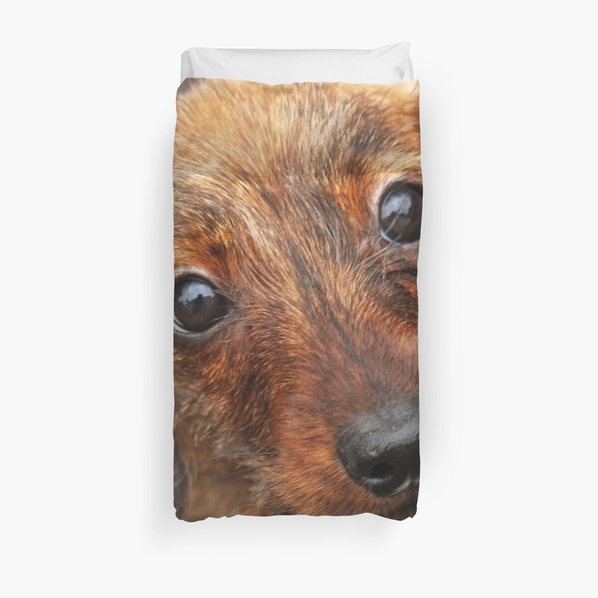 Peach Basket Ketch Em Up Dachshund Puppy Wire Wirehair Hair