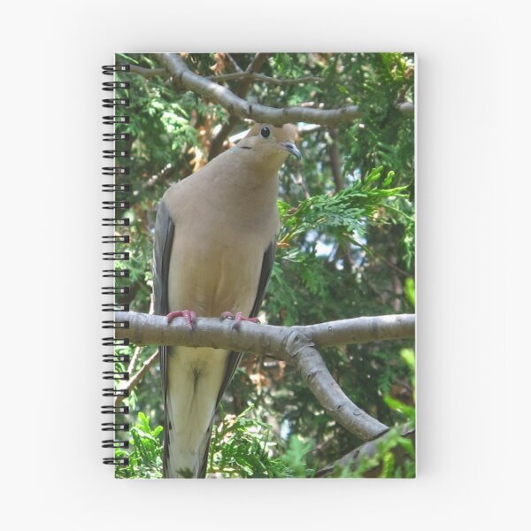 Item preview, Mourning  Dove coo designed and sold by MarianBendeth.