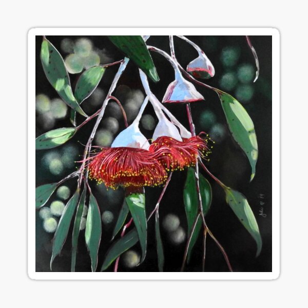 Item preview, Gumnut Blossom - Eucalyptus Flowers designed and sold by Krusty.