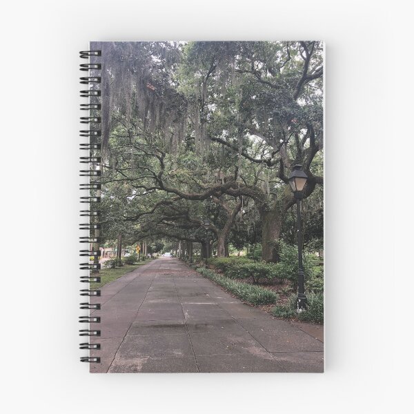Item preview, Forsyth Park, Savannah, GA designed and sold by PinkPainterC.