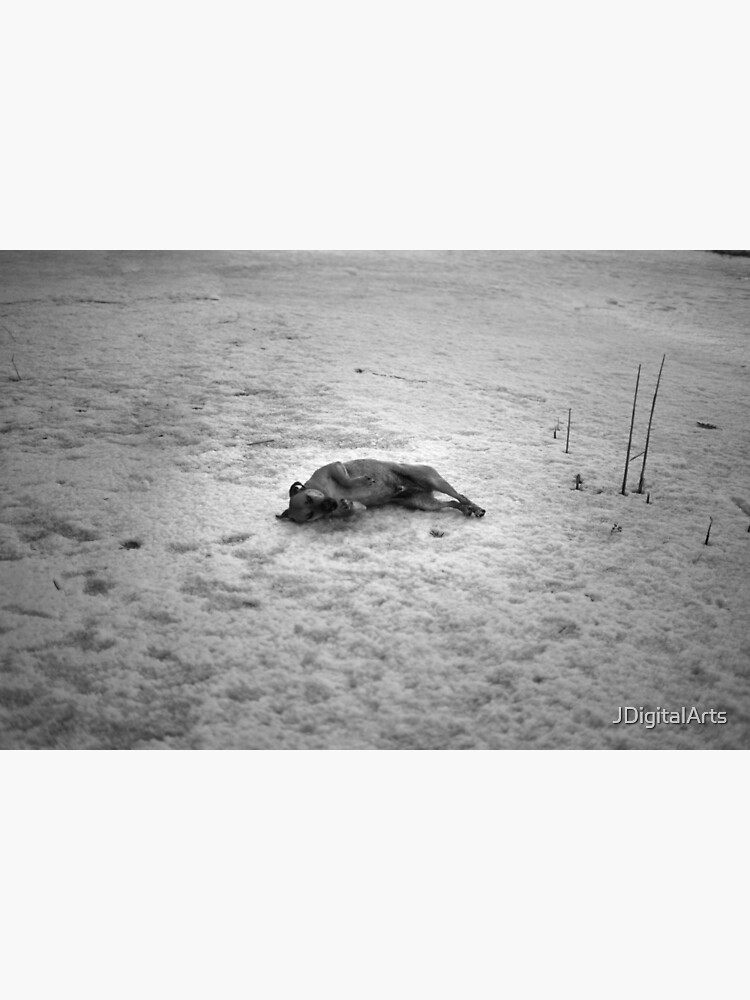 Lost Puppy by JDigitalArts