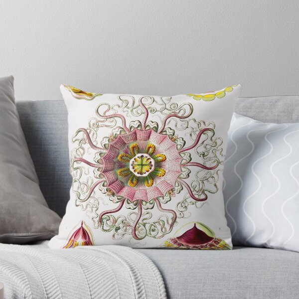 Item preview, Plate 38. Periphylla periphylla, the Crown or Helmet Jellyfish, designed and sold by Squirrox.