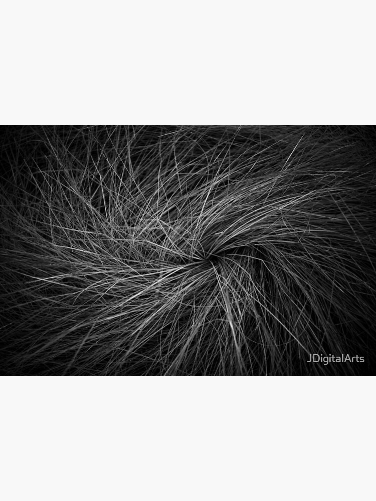 Salt Marsh Hay by JDigitalArts