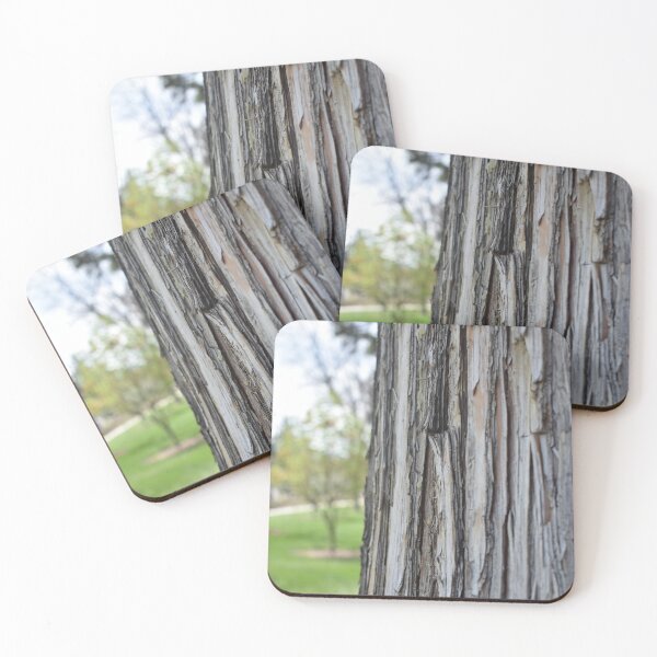Item preview, Tree Bark  designed and sold by Thatcameraguy.