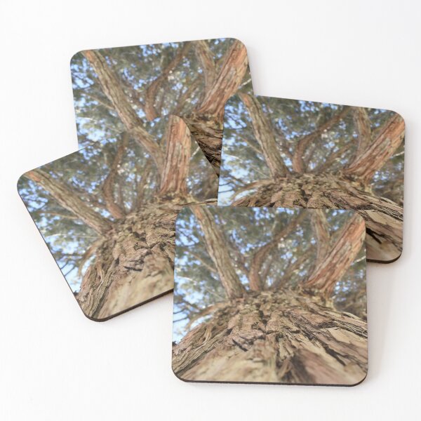 Item preview, A new perspective designed and sold by Thatcameraguy.