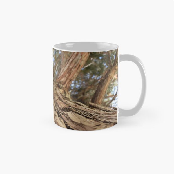 Item preview, A new perspective designed and sold by Thatcameraguy.