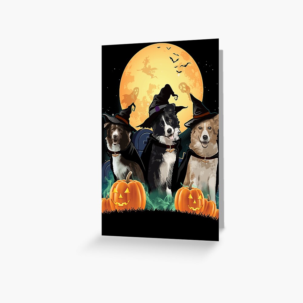 Border Collies Halloween  Sticker for Sale by TeeDoozy