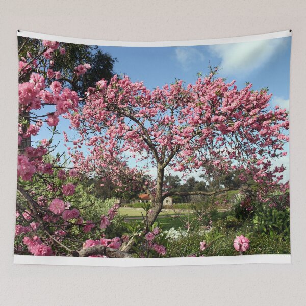 Item preview, Balboa Park designed and sold by Steve McKinnis.