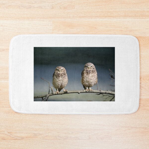 Item preview, BURROWING OWLS designed and sold by Larry Trupp.