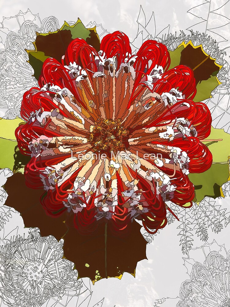 banksia menzies, Digital Art Red Banksia Tozers Block Western Australia by yallmia