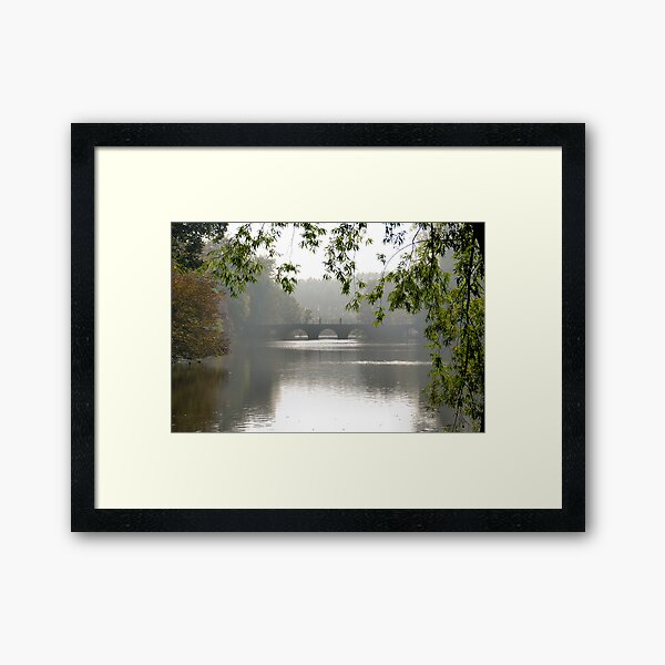 Pedestrians on the bridge Framed Art Print