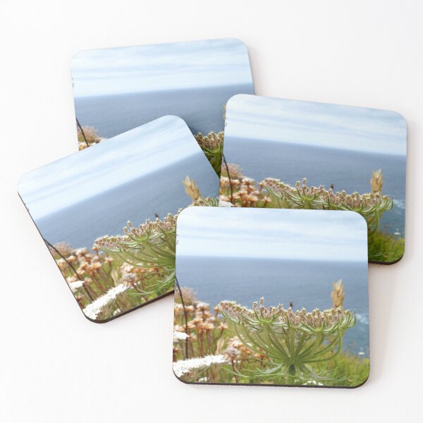 Item preview, Coastal vegetation Cornwall - clifftop seed head designed and sold by mcworldent.