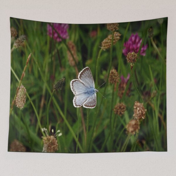 Item preview, Chalkhill Blue Butterfly designed and sold by EllieofSkye.