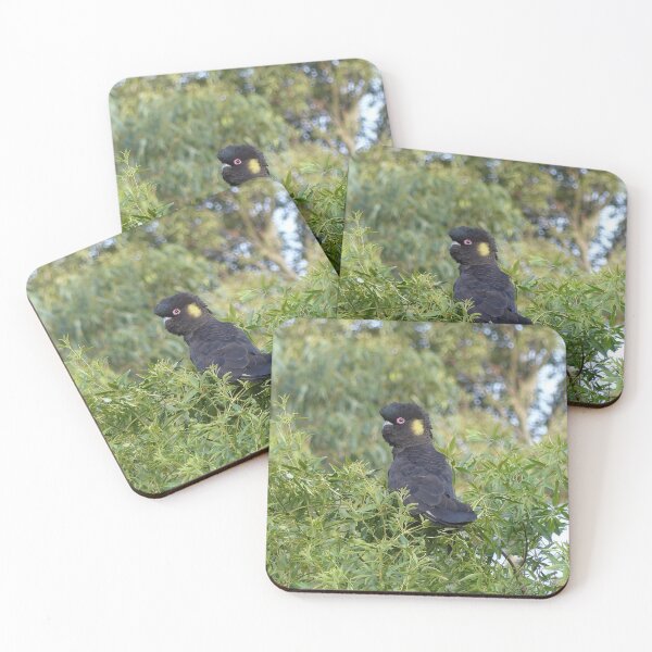 Item preview, Yellow-tailed Black Cockatoo designed and sold by Trish Meyer.