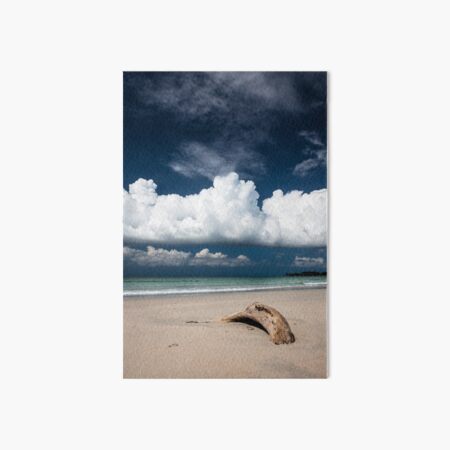 Beach driftwood and dark blue sky Art Board Print