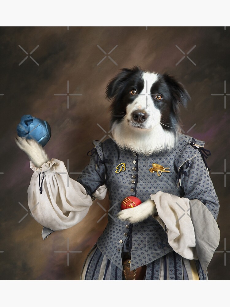 Border Collie - Franklin's Toys