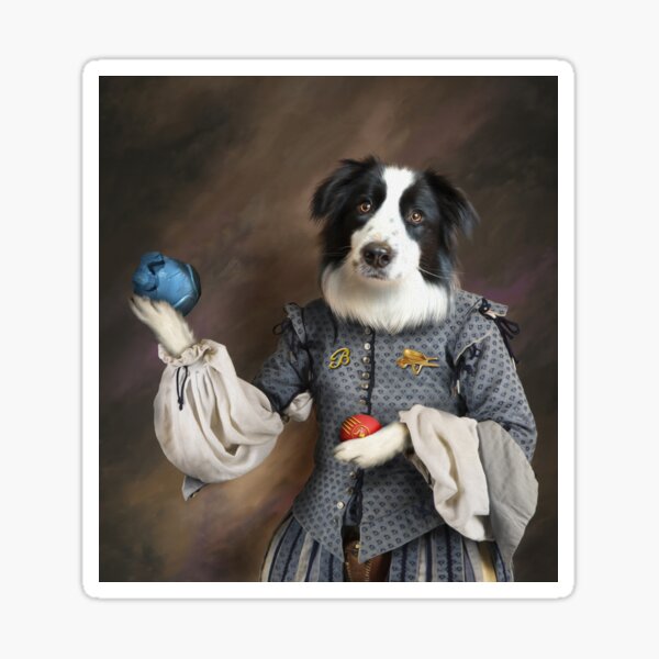 Border Collie Dog Portrait - Buddy Sticker