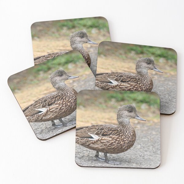 Item preview, Falcated duck female designed and sold by GreyFeatherPhot.