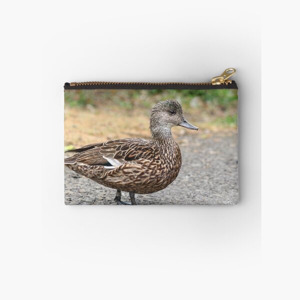 Item preview, Falcated duck female designed and sold by GreyFeatherPhot.