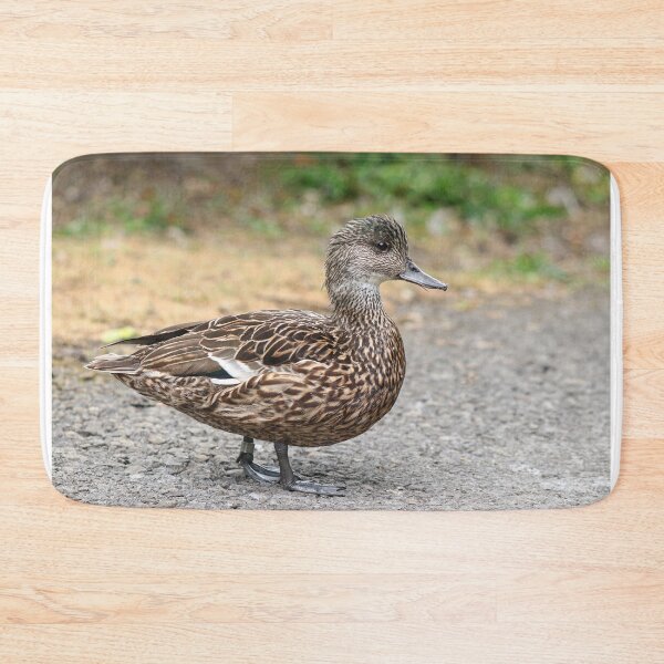 Item preview, Falcated duck female designed and sold by GreyFeatherPhot.