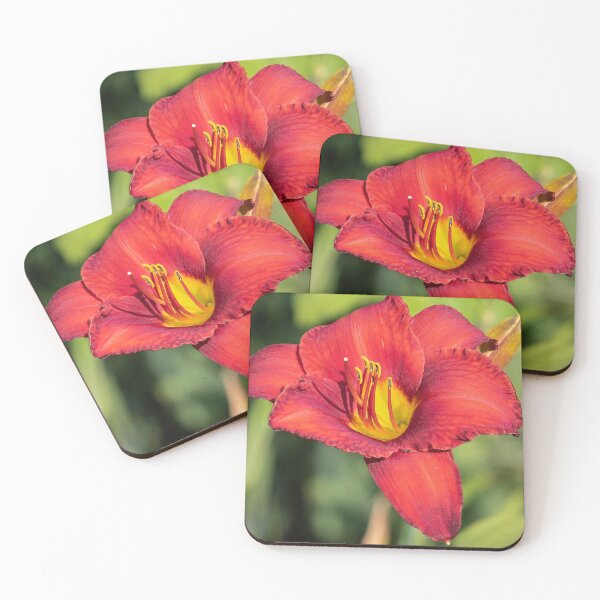 Item preview, Red and Yellow Lily 2019 designed and sold by Thomasyoung.