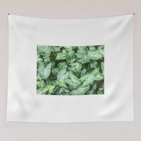 Item preview, Texture of green leaves designed and sold by MarioGuti.